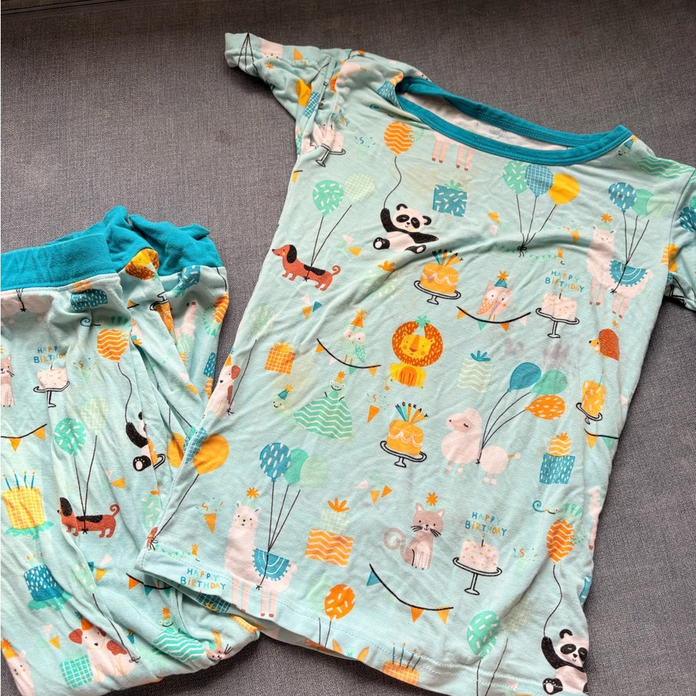Little Sleepies - Kids Mint Animal Birthday Pajama Set